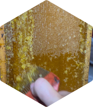 eliminacion sellado miel lavanda